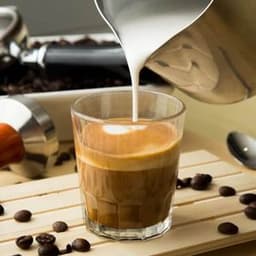 Cortado vs Latte: What is The Basic Difference Between These Two Brews?