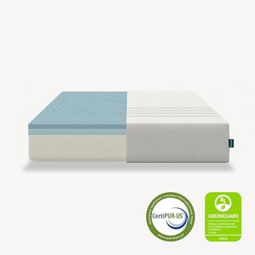 Leesa Full Size Youth Foam Mattress, Medium Firm Firmness, Soothing Foam and Responsive Memory Foam, 10", CertiPUR-US Certified, 100-Night Trial