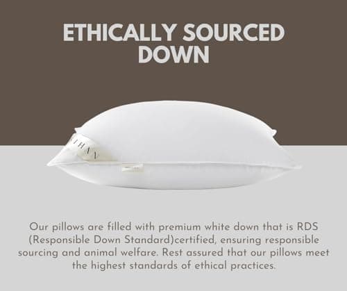 Premium Goose Down Pillows Standard Size - 700+ Fill Power, Down Pillow for Stomach Sleeper, 100% Cotton 500 TC Cover Down Pillow Standard Size Plush Pillow 1 Pack 20"x26"