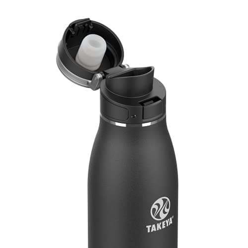 Takeya Traveler Insulated Travel Mug, Leak Proof Lid, 17 Ounce, Onyx