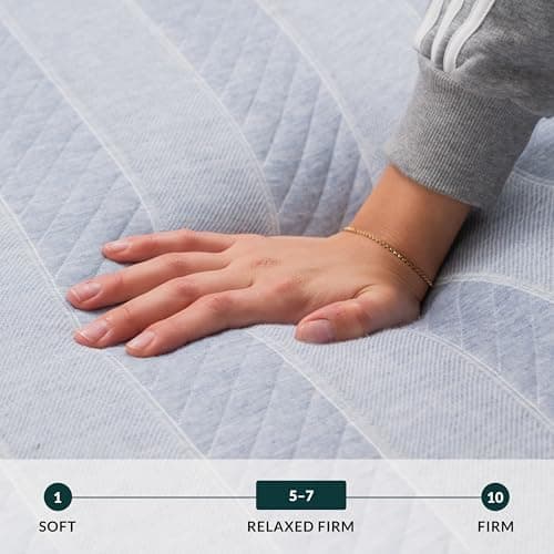 Leesa Studio 10" Mattress, Queen Size, Cooling Memory Foam / CertiPUR-US Certified / 100-Night Trial, Heather-blue