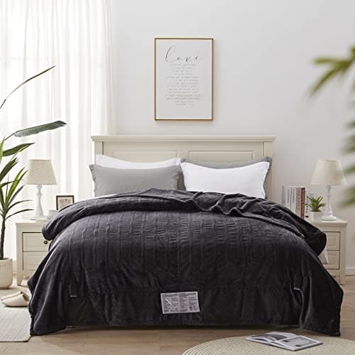 Westinghouse Queen Size Electric Heating Blanket, 10 Levels, Auto Shut Off, Fast Heating, Machine Washable (Queen, 84x90 Inches, Charcoal)