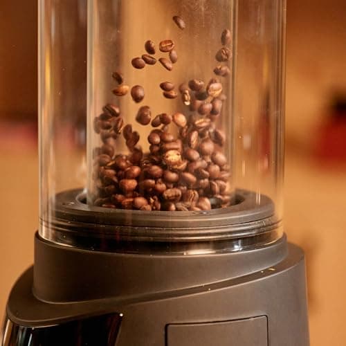 Smart Home Coffee Bean Roaster, Digital Display, Auto and Manual Modes, 300g Capacity Ultra-low Smoke Chaff Collection, Transparent Viewing, Auto-Cooling, 120V,Ver1.1
