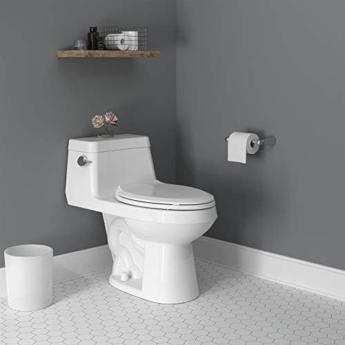 American Standard 2961A104SC.020 Colony One-Piece Toilet, White
