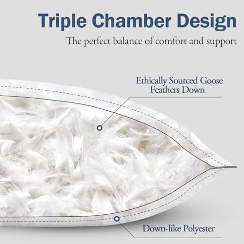 BPC Goose Feather Down Pillows Queen Size Set of 2, Luxury Hotel Bed Pillows, 100% Organic Cotton Cover, Soft Support Surround Fill Polyester, Medium Firm for Back, Stomach or Side Sleepers 20"x30"
