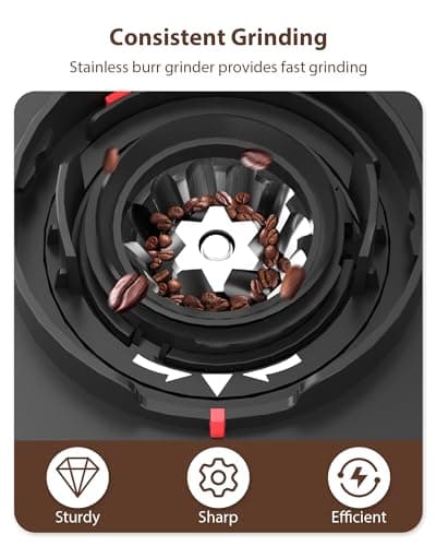 Aromaster Burr Coffee Grinder with 25 Grind Setting, Adjustable 2-12 Cups Timer, Professional Conical Coffee Bean Grinders for Home Use, 3-Ears Portafilter Holder, Anti-static, Cleaning Brush, Black