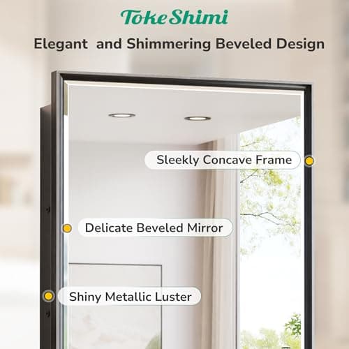 TokeShimi 17x25 Recessed Medicine Cabinet with Mirror Surface Mounted, Metal Beveled Mirror with Storage for Bathroom Vanity, Aluminum Black Medicine Cabinet Mirrored