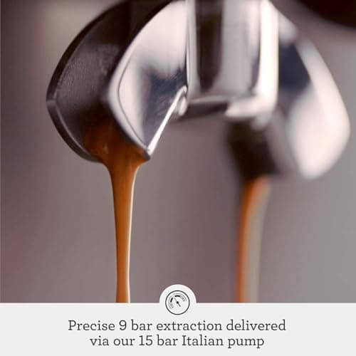 Breville Oracle Espresso Machine BES980XL, Brushed Stainless Steel