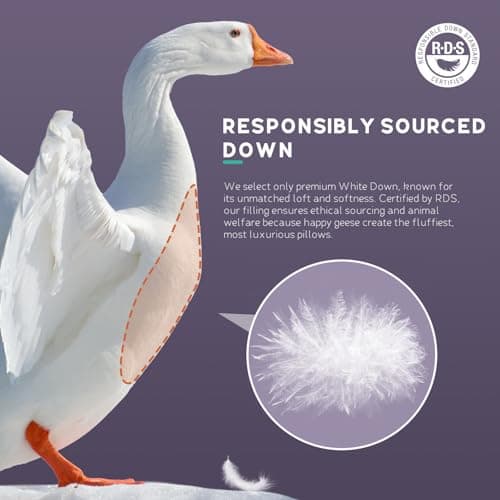 White Goose Down Pillow Luxury Hotel Bed Pillow with 100% Natural 900+Fill Power, Natural Goose Feather Pillow for Sleeping, 700TC Cotton Shell, Standard Size- Medium, 1 Pack