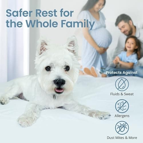 SafeRest Waterproof King Size Mattress Protector - Fitted with Stretchable Pockets - Machine Washable Cotton Mattress Cover for Bed