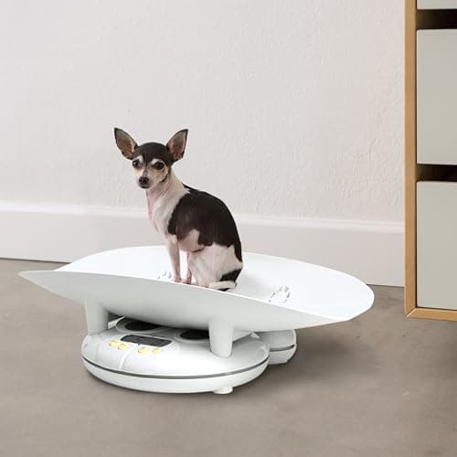 Salter Baby, Toddler, Pet Scale, Perfect Readings for Before and After Feedings and Parents and Breeders, 3-in-1 Function, Designed for Infants, Toddlers, and Pets, Hold Button, 44 LB Capacity, White