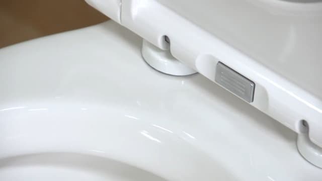 American Standard 2795204.020 Studio Two-Piece Toilet, 43.61 in wide x 25.50 in tall x 34.25 in deep, White