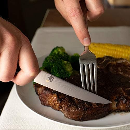 Shun Classic 5" Steak Knife