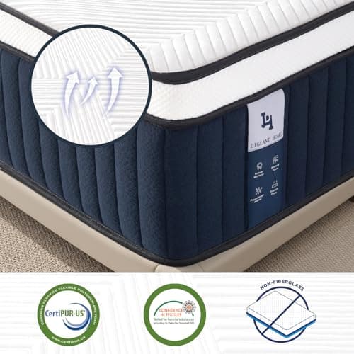 Queen Mattress, DIGLANT 14Inch Euro Top Memory Foam Hybrid Mattress, Medium Plush Feel Pocket Springs Queen Size Mattress for Pressure Relief, Edge Support Mattress in Box, CertiPUR-US, 60"*80"