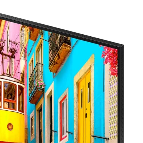 SAMSUNG QN65QN800DFXZA 65 Inch Neo QLED 8K Smart TV 2024 Bundle with Deco Gear 2X 4K HDMI 2.0 Cable w/Pure Copper Conductors & CPS Exclusive 12 Month Protection Pack Bundle (BEACH-CPS-263000)