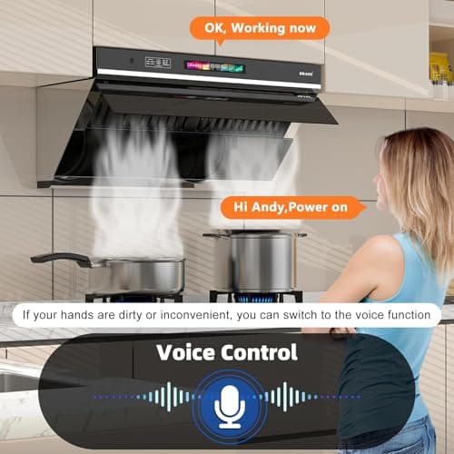 Under Cabinet Range Hood 30 inch, 900 CFM Kitchen Hood with Voice/Gesture/Touch Control,Ducted/Ductless Convertible Stainless Steel Range Hood, 4 Speed Exhaust Fan,Adjustable Lights