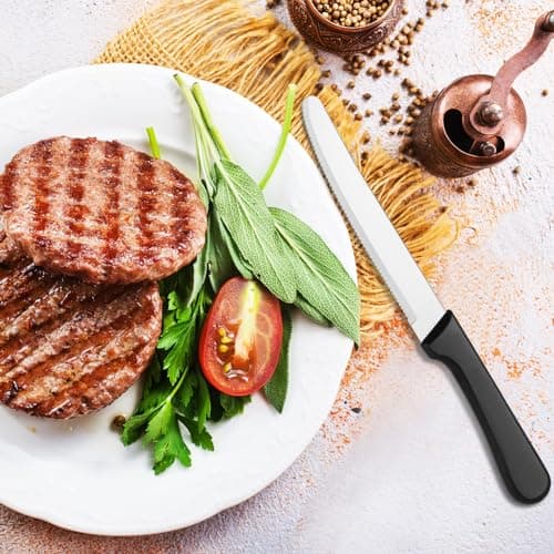Zhehao 150 Pcs 8.39 Inches Steak Knife Sets Black Stainless Steel Serrated Edge Dinner Knives with Plastic Handle and Round Tip for Home Restaurant