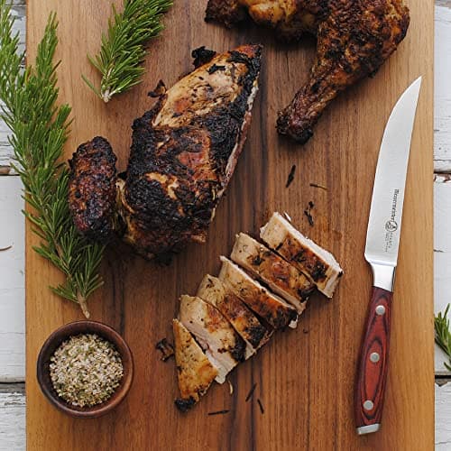 Messermeister Avanta Forged 5” Fine Edge Steak Knife Set - German X50 Stainless Steel - Rust Resistant & Easy to Maintain - Includes 4 Steak Knives