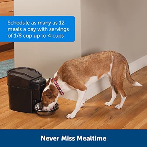 PetSafe Automatic Cat Feeder - Healthy Pet Simply Feed - Automatic Pet Feeder for Cats & Dogs - Timed Pet Feeder with Programmable Portion Control - Holds 24 Cups of Dry or Semi-Moist Dog or Cat Food