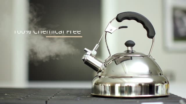Willow & Everett Whistling Tea Kettle for Stove Top - 3.17 Quart Tea Pots for Stove Top w/Stainless Steel, Mirror Finish & Strainer
