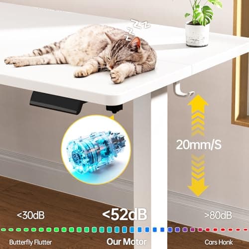 Veken 55 Inch Large Electric Standing Desk,Sit to Stand Up, Heights Adjustable, Work Home Office Computer Table for Study, Walking Pad, Writing, and Games, Wooden Desktop Desks, White