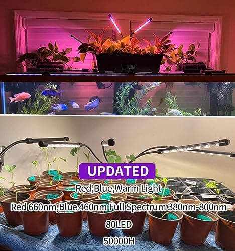 Grow Light for Indoor Plants - Upgraded Version 80 LED Lamps with Full Spectrum & Red Blue Spectrum, 3/9/12H Timer, 10 Dimmable Level, Adjustable Gooseneck,3 Switch Modes