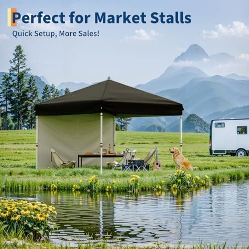 10'x10' Pop Up Canopy Tent with 4Pcs Sidewalls, Portable Instant Commercial Canopy with 4 Stakes, 4 Ropes, 4 Sandbags for Farmers' Market, Patio, Outdoor, Camping, Black