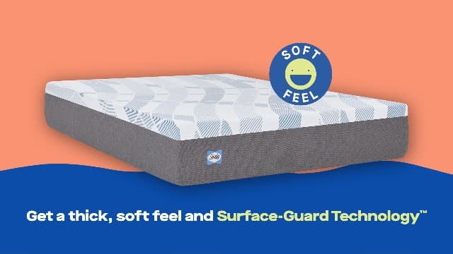 Sealy Dreamlife 12" Foam Mattress-in-a-Box, Queen, SealyComfort Gel Memory Foam, SealySupport Transition Foam, Surface-Guard Technology