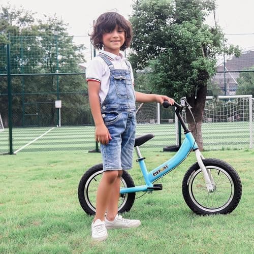 Balance Bike 2 in 1,The Dual Use of a Kids Balance Bike and Toddler Bike, for 2 3 4 5 6 7 Years Old -12 14 16 Inches with Training Theory, Brake, Pedal