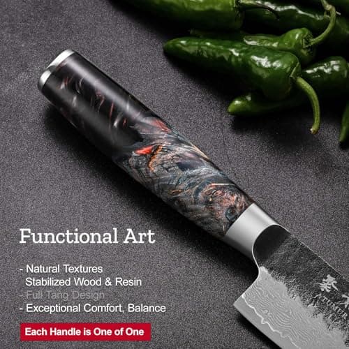Japanese Chef Knife, 8 Inch Damascus Kitchen Knife with VG10 Steel Core, Professional Black Forged Kitchen Knives with Ergonomic Handle, Leather Sheath & Luxury Gift Box, Birthday Gifts for Men Women