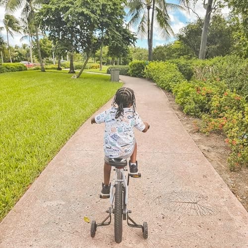 JOYSTAR Whizz Kids Bike 12 14 16 18 Inch Kids' Bicycle for Toddler and Kids Ages 2-9 Years Old, BMX Style Boys Bike with Training Wheels, Children Bicycles, Multiple Colors