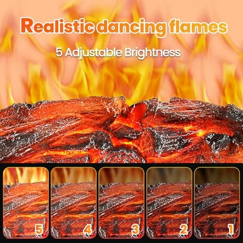 Electric Fireplace Logs Inserts Heater with Infrared Remote, 24 H Timer, 5 Flame Brightness, Thermostat, Overheating Protection for Home & Office