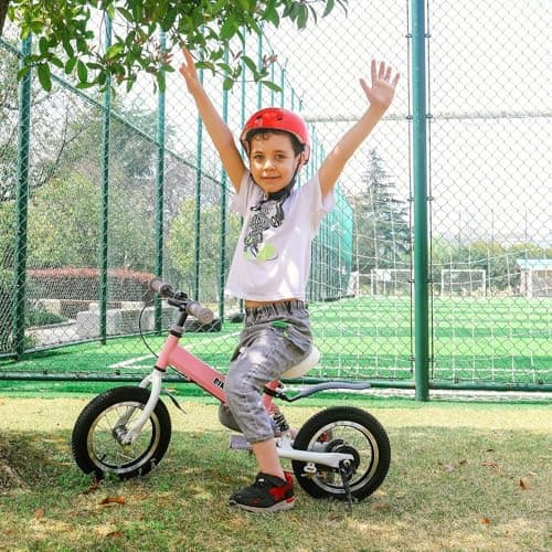 Balance Bike 2 in 1,The Dual Use of a Kids Balance Bike and Kids Bike,12 14 Inches for 2-6 Years Old,with Shock Absorbers, Fenders, Pedals, Auxiliary Wheels