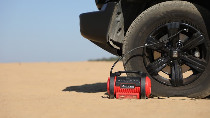 AVID POWER Tire Inflator Portable Air Compressor, 12V DC 110V AC Car Tire Pump, Air Mattress Pump with Inflation and Deflation Modes, Dual Powerful Motors, Digital Pressure Gauge