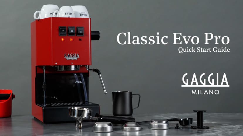 Gaggia RI9380/51 Classic Evo Pro Espresso Machine, Industrial Grey, Small