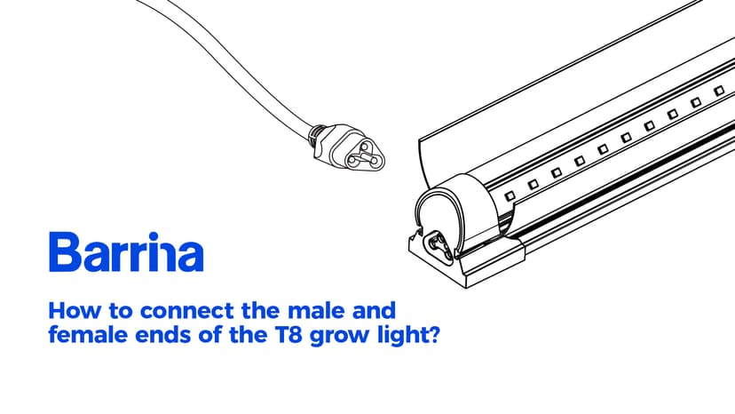 Barrina Plant Grow Lights, 4FT 5000K Full Spectrum Daylight White, 252W(6 x 42W, 1400W Equivalent), T8 LED Grow Light Strips, Growing Lamp Fixture, Plant Lights for Indoor Plants, Greenhouse, 6-Pack