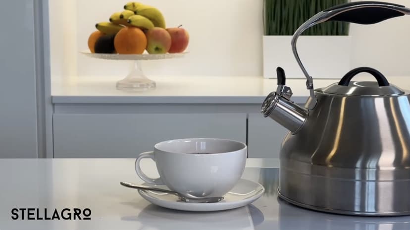 Stovetop Whistling Tea Kettle – 2.4 QT Stainless Steel Teapot with Ergonomic Handle, Fast Heating for Gas, Electric & Induction Stoves – Satin Finish, Silver