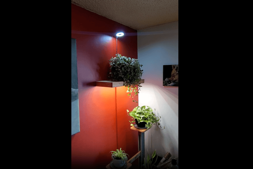 Plant Grow Light, 48 LEDs Full Spectrum Grow Lights for Indoor Plants, Height Adjustable Small Halo Grow Light with Base, 3 Optional Spectrums, Auto Timer 3/9/12Hrs, 10 Brightness, 3 Pack
