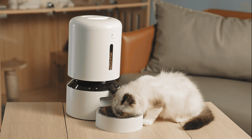 PETLIBRO Automatic Cat Feeder, 5G WiFi Automatic Dog Feeder with Freshness Preservation, 5L Timed Cat Feeder with Low Food Sensor, Up to 10 Meals Per Day, Granary Pet Feeder for Cats, Black