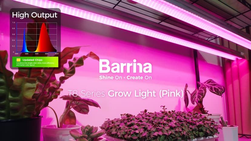 Barrina LED Grow Light, 252W(6 x 42W) 4ft T8, Full Spectrum, V-Shape with Reflector, Linkable Design, Plant Lights for Indoor Plants, 6-Pack