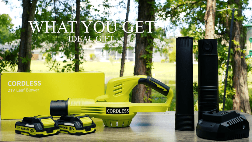 Leaf Blower Cordless - 21V Powerful Electric Leaf Blower with 2 Batteries and Charger, 2 Speed Modes, 2.0Ah Lightweight Battery Powered Leaf Blowers for Lawn Care, Patio, Dust, Blowing Leaves