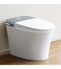 HOROW Bidet Toilet 10" Rough-in, Smart Toilet with Bidet Built-in, Instant Warm Water, Elongated Heated Seat, Dryer, Blackout Flushing and Deodorization