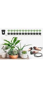 Blumat Classic Plant Watering Stakes - Self-Watering Insert for Indoor and Outdoor Plants - Automatic Slow Release Irrigation System for Potted Plants - Houseplant Care Device (3 Packs)