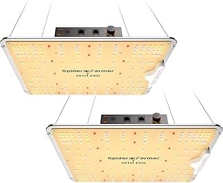 Spider Farmer SF1000-2Pack, Samsung LM301H EVO Led Grow Light, Full Spectrum Plant Light, Dimmable & High Efficiency & Deeper Penetration Lamps for Seed Starting Vegetables Bloom in 2x4 Grow Tent