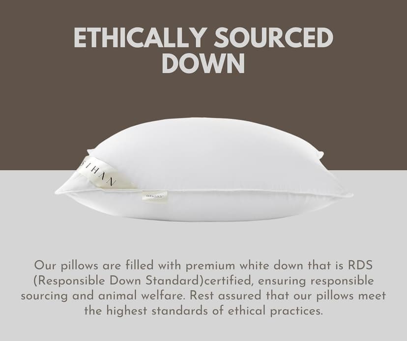 Premium Goose Down Pillows Standard Size - 700+ Fill Power, Down Pillow for Stomach Sleeper, 100% Cotton 500 TC Cover Down Pillow Standard Size Plush Pillow 1 Pack 20"x26"