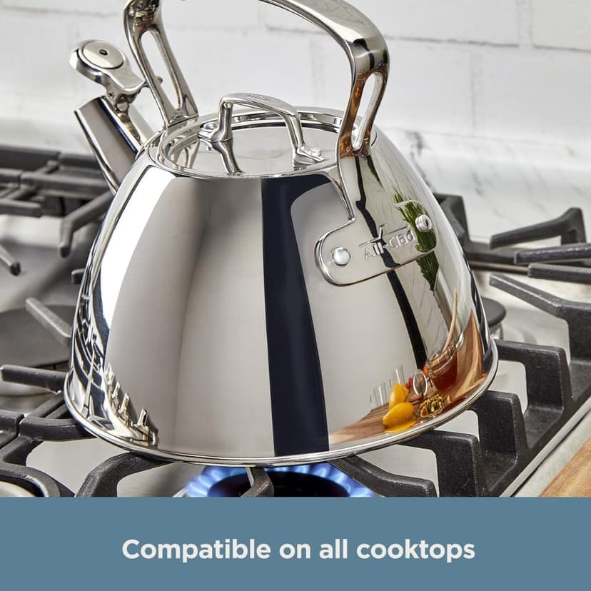 All-Clad Specialty Stainless Steel Tea Kettle 2 Quart Induction Pots and Pans, Cookware Silver