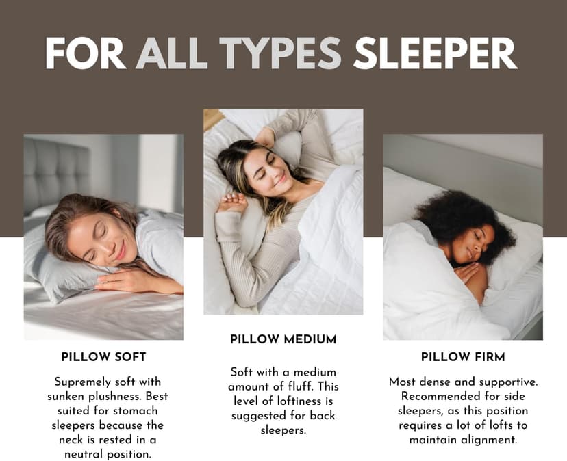 Premium Goose Down Pillows Standard Size - 700+ Fill Power, Down Pillow for Stomach Sleeper, 100% Cotton 500 TC Cover Down Pillow Standard Size Plush Pillow 1 Pack 20"x26"