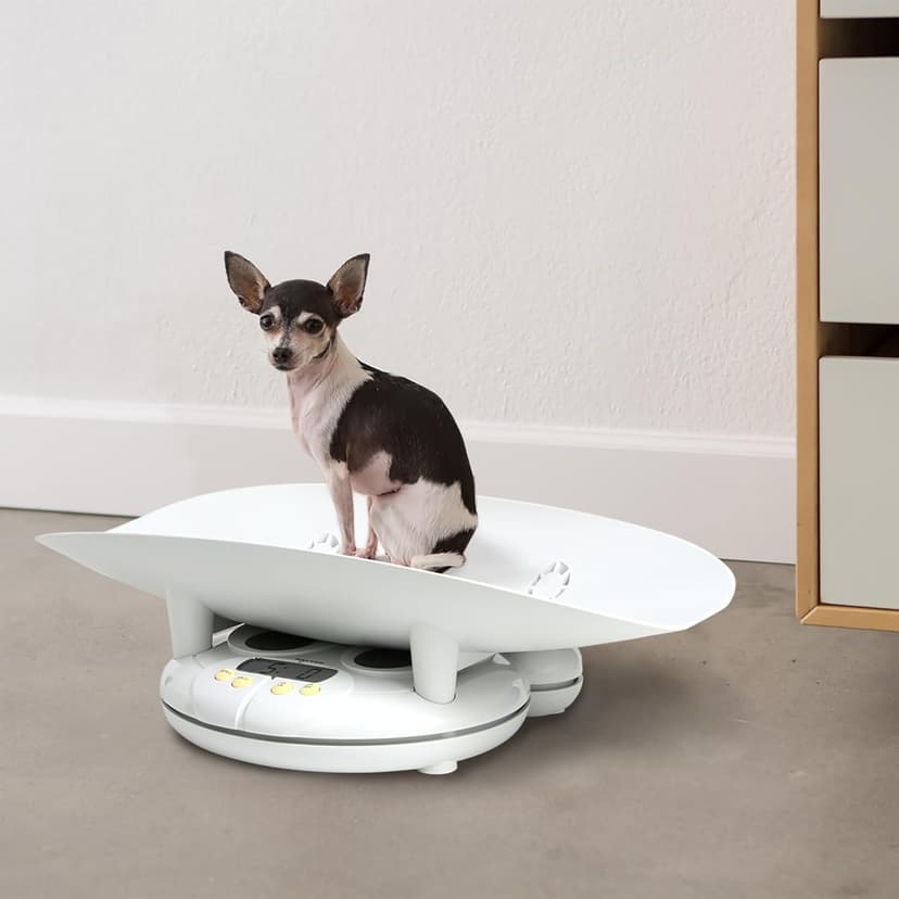 Salter Baby, Toddler, Pet Scale, Perfect Readings for Before and After Feedings and Parents and Breeders, 3-in-1 Function, Designed for Infants, Toddlers, and Pets, Hold Button, 44 LB Capacity, White