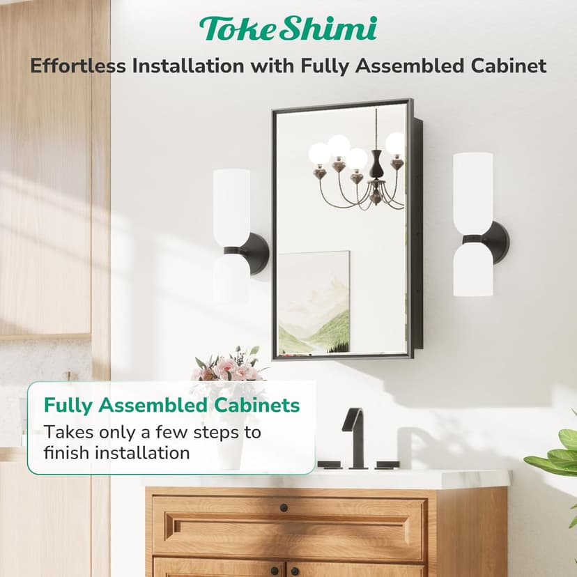 TokeShimi 17x25 Recessed Medicine Cabinet with Mirror Surface Mounted, Metal Beveled Mirror with Storage for Bathroom Vanity, Aluminum Black Medicine Cabinet Mirrored