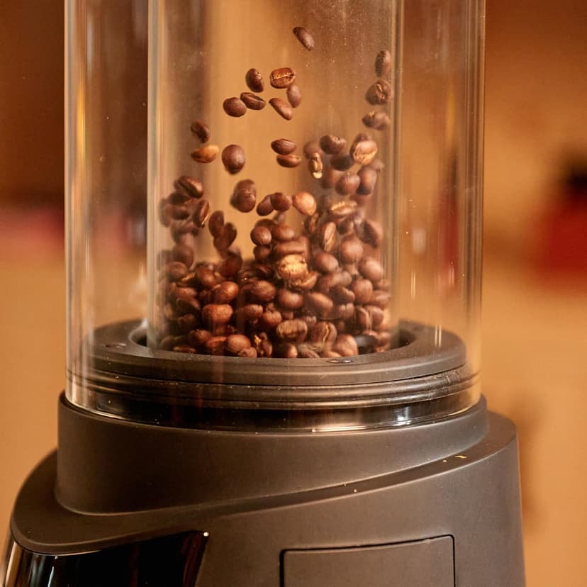 Smart Home Coffee Bean Roaster, Digital Display, Auto and Manual Modes, 300g Capacity Ultra-low Smoke Chaff Collection, Transparent Viewing, Auto-Cooling, 120V,Ver1.1